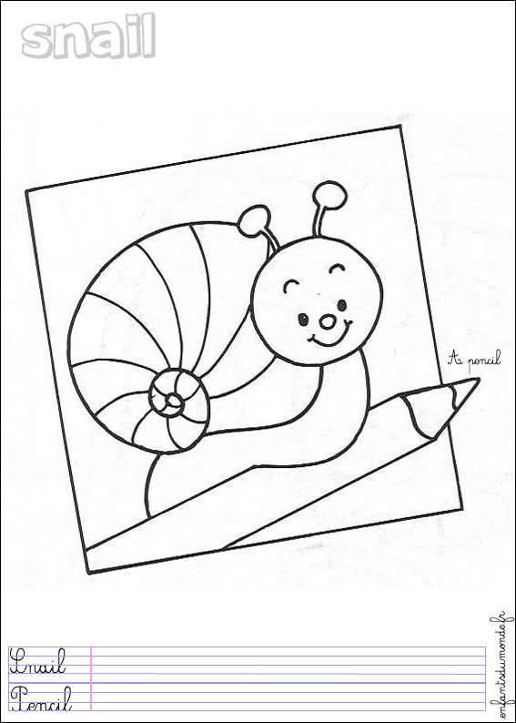 coloriage escargot 1
